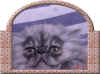 Frescati23.jpg (63765 bytes)