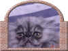 Frescati23.jpg (63765 bytes)