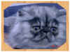 Frescati4F.jpg (67528 bytes)
