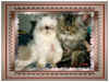 Toby & TabithoFR.jpg (66426 bytes)