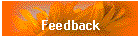 Feedback