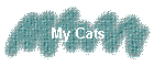 My Cats